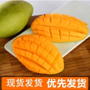 果篱 越南进口小青芒 5斤 新鲜采摘