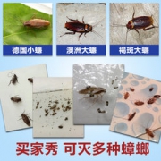 泰安康 灭蟑螂喷剂 500ml