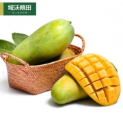 越南进口大青芒 现摘现发 5斤 广西直发