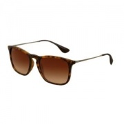 Ray-Ban 雷朋 基础功能款太阳镜 0RB4187 856/13 54（玳瑁色镜架 茶色渐变镜片）
