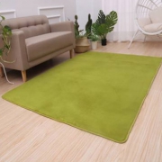 迪其尔 客厅简约珊瑚绒地毯40cm*60cm