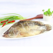 徽州传统美食 寻徽记 黄山臭鳜鱼 净膛约1.35-1.45斤