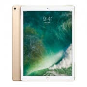 Apple 苹果 iPad Pro 12.9英寸 平板电脑 金色 WLAN+Cellular版 256GB