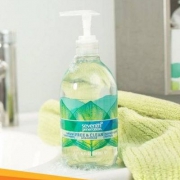 Seventh Generation 净七代 天然芦荟抑菌消毒洗手液354ml*2瓶