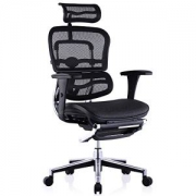 Ergonor 保友办公家具 金豪款 人体工学电脑椅