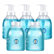 清爽抑菌！隆力奇 抑菌泡沫洗手液 500ml*5瓶 29.9元（39.9-10）