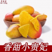 海南特产 先秦 精选小贵妃芒果 5斤