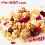 10点前2000名！家乐氏 谷兰诺拉谷物水果燕麦麦片 2盒