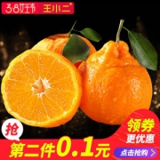 王小二 四川丑柑 5斤 物理除虫 农家肥