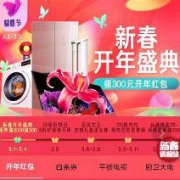 优惠券：京东新春 开年盛典