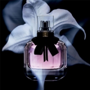 YSL 反转巴黎香水50ml+唇膏超值套组