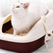 送猫砂铲+逗猫玩具！碧净 半封闭猫砂盆中号    9.9元包邮（需用券）