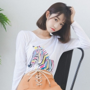 拍2件# 女士春季ulzzang清新长袖t恤