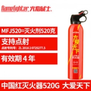 FlameFighter 小型灭火器 车载/家用