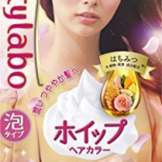 hoyu beautylabo 冰激凌摇摇杯泡沫染发膏 40g+80mL+5mL