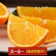 新鲜采摘 秭归伦晚橙子 5斤