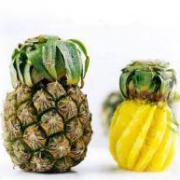 枝果趣 云南河口特产小菠萝8斤