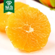 绿念 秭归伦晚脐橙 5斤装 春天应季 现采先发