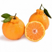 鲜菓篮 四川丑柑 不知火丑橘 2.5kg