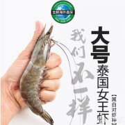 限地区，京东生鲜 活冻泰国女王虾 17~26只 850g