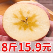黛碧  现摘陕西红富士冰糖心丑苹果 3800g   15.9元