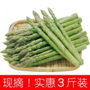 中艺园 现摘芦笋 3斤装