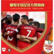 葡萄牙国足赞助商 SAGRES 大麦香啤酒 250ml*24瓶