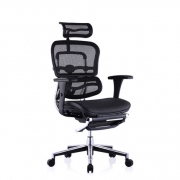 Ergonor 保友办公家具 人体工学电脑椅 金豪智尚版+躺舒宝