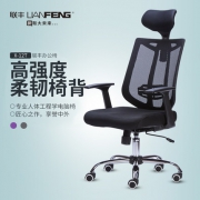 联丰 人体工学椅 夏季网面款 美国BIFMA认证气压棒