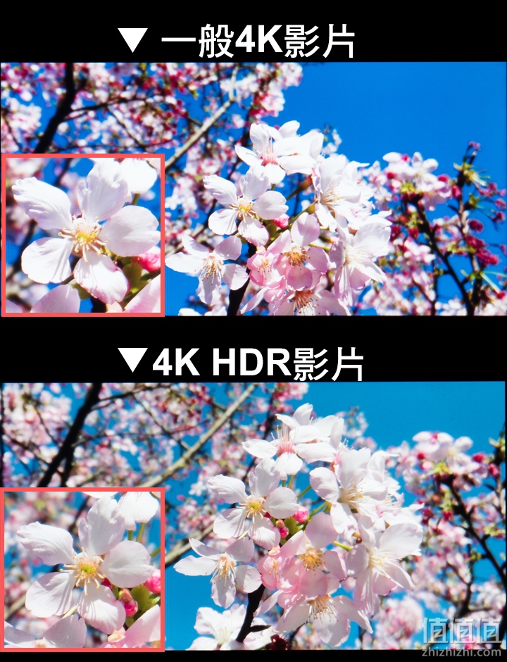 Sony 索尼 Xperia XZ2 手机测评，和S9+ 拍照对比