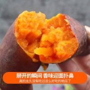 10点抢 海南 水果红蜜薯 5斤 甜度13.5