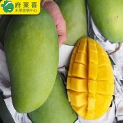 府莱喜 越南大青芒 5斤