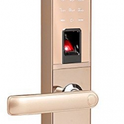 高圆圆代言！Panasonic 松下 电子锁四合一锁触屏金色左开SXBZ-V-M680FL
