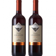 历史新低！ PASO GRAND 佰铄 佳美娜 干红葡萄酒 750ml*2瓶 *3件 +凑单品 99.5元包邮（双重优惠）