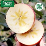闫老碎 陕西红富士冰糖心丑平果 10斤
