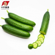 中农富通 新鲜水果黄瓜 5斤装