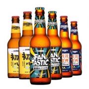 龙精酿 精酿啤酒组合（美式艾尔+德式小麦+捷克皮尔森）330ml*6支