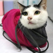 给我乖乖洗澡！舒耐  猫咪洗澡袋