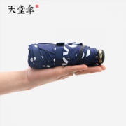 天堂伞 迷你五折黑胶伞 晴雨两用