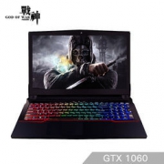 Hasee 神舟 战神 Z7-KP7GS 15.6英寸笔记本电脑（I7-7700HQ 16G 1T+256G SSD GTX1060 6G独显 RGB WIN10 IPS)