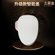 KOHLER 科勒 K-18649T-0 即热型智能盖板