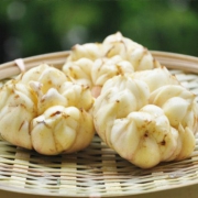 大别山新鲜百合500g