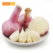 金乡 新鲜紫皮蒜头*5斤装
