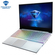 MACHENIKE 机械师 F117-B 全面屏轻薄笔记本电脑（i7-8750H 8G 128G固态+1T GTX1050Ti）