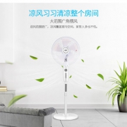海尔（Haier）  FSJ3505B 5叶 机械式定时摇头落地扇