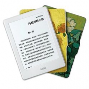 Kindle 电子书阅读器 入门版梵高博物馆套装麦田系列