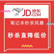 促销活动： 京东 笔记本秒杀风暴专场