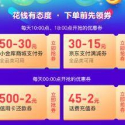 优惠券：京东金融 年轻趣花钱