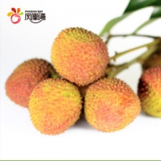 预售 凤凰湾 新鲜荔枝 妃子笑 5斤装