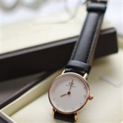 Daniel Wellington 0901DW 女士镶钻时装腕表